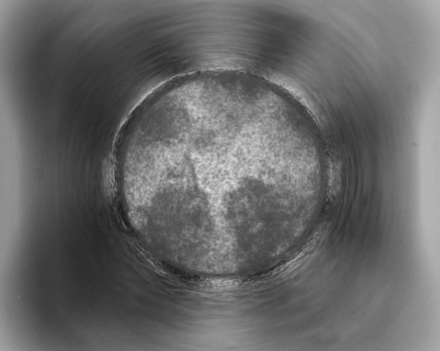 X0000095540878200801111431