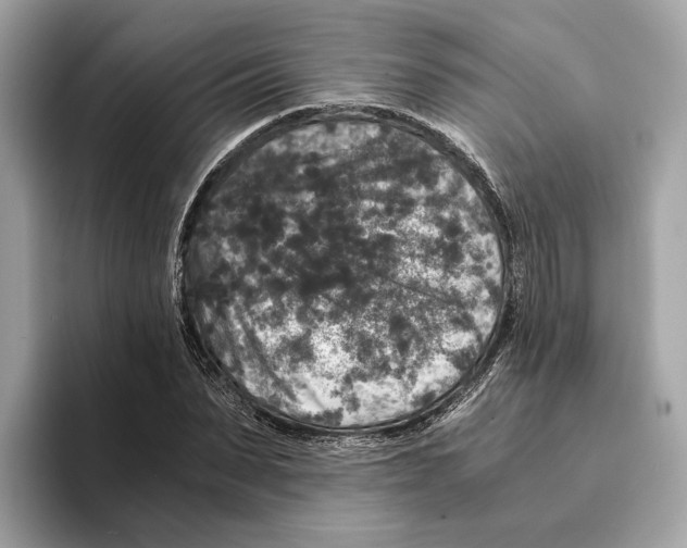 X0000095540879200801111431