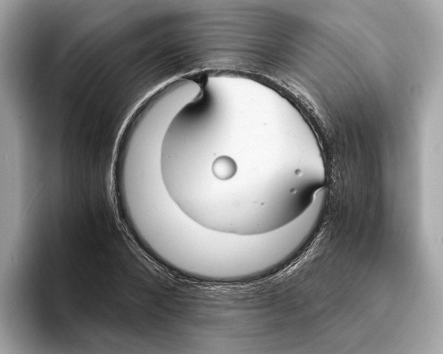 X0000095540880200801111431