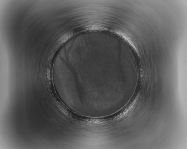 X0000095540881200801111431