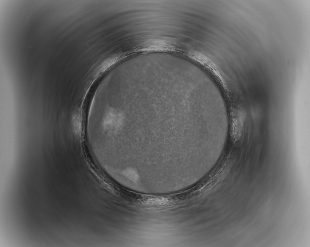 X0000095540882200801111431