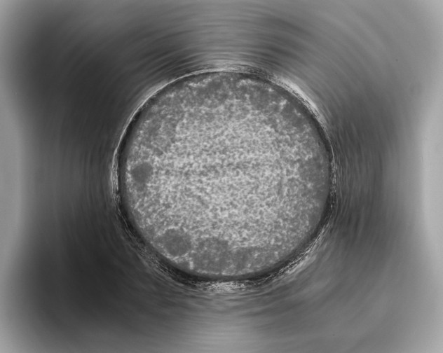 X0000095540883200801111431