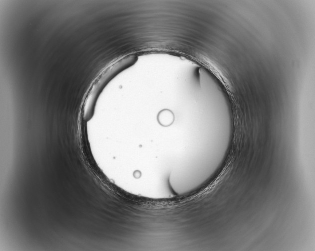 X0000095540884200801111431