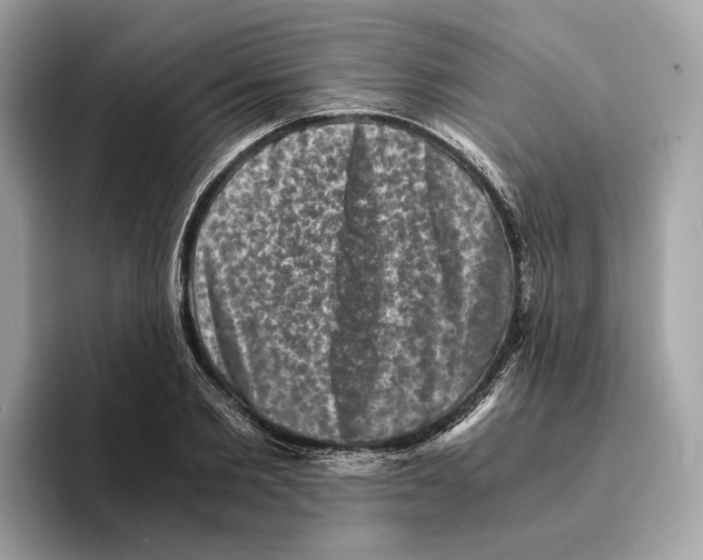 X0000095540885200801111431