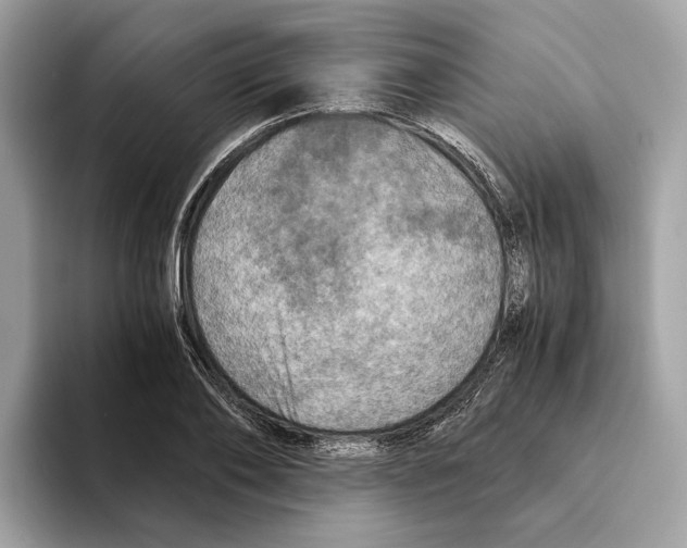 X0000095540886200801111431