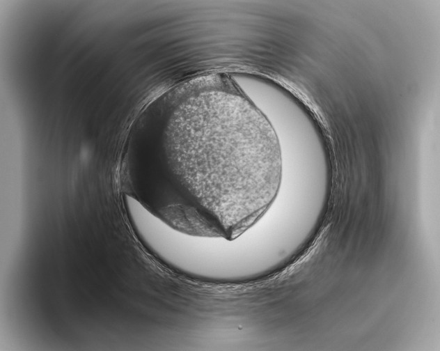 X0000095540889200801111431