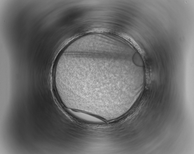 X0000095540890200801111431