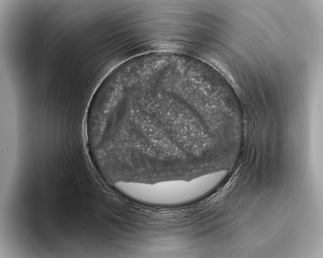 X0000095540891200801111431