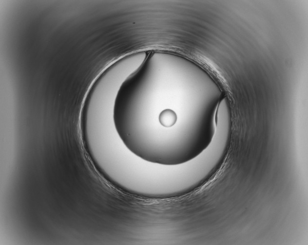 X0000095540892200801111431