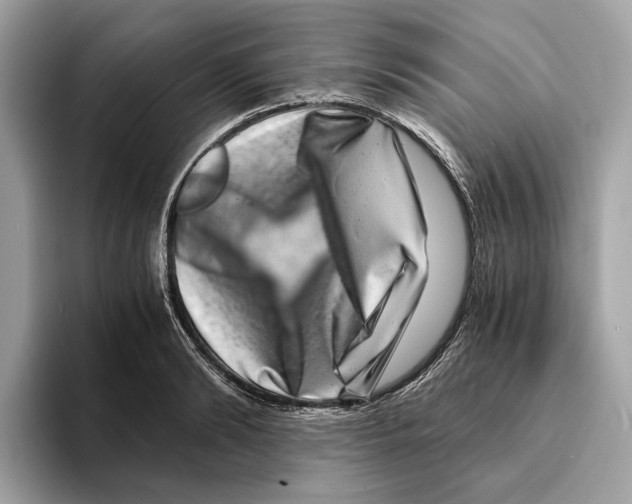 X0000095540894200801111431