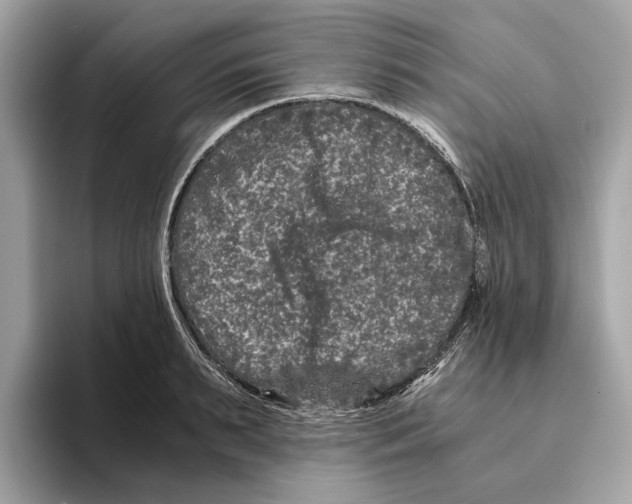 X0000095540895200801111431