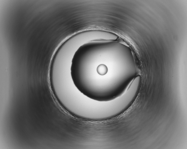 X0000095540896200801111431