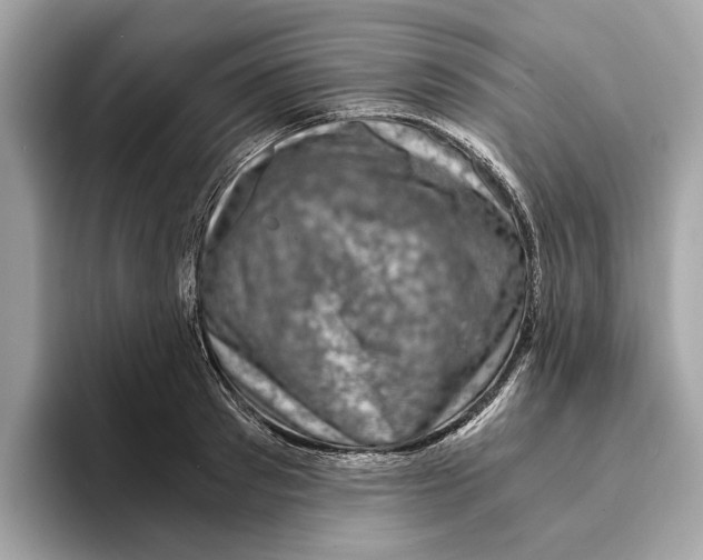 X0000095540897200801111431