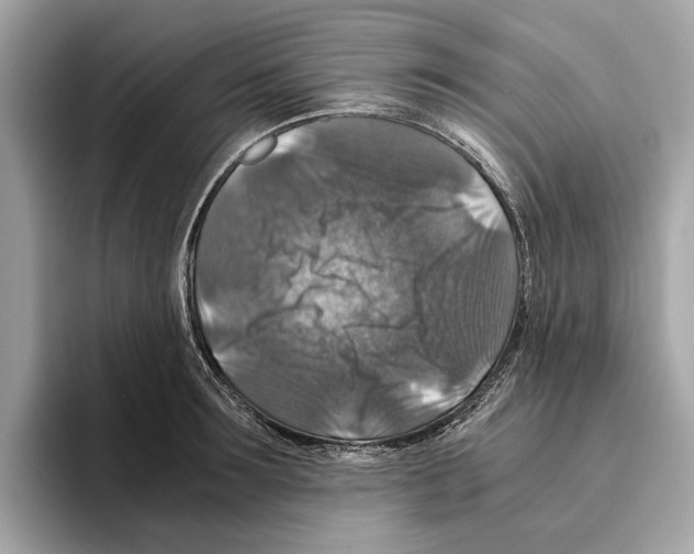 X0000095540899200801111431