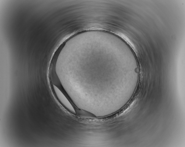 X0000095540901200801111431