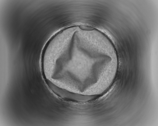 X0000095540902200801111431