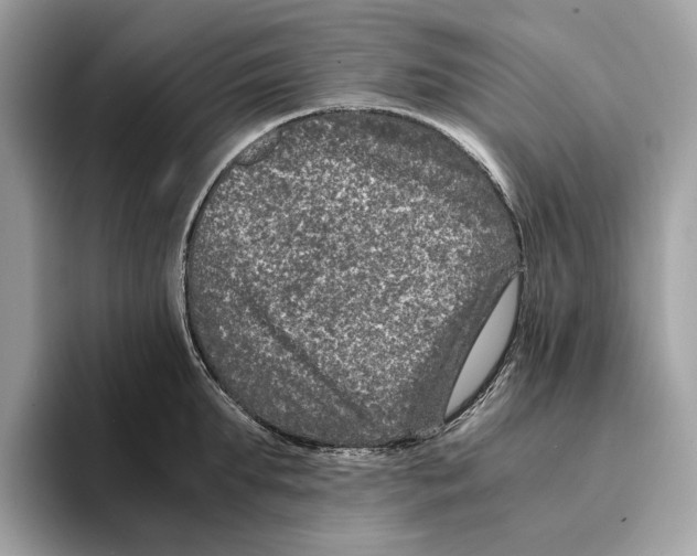 X0000095540903200801111431