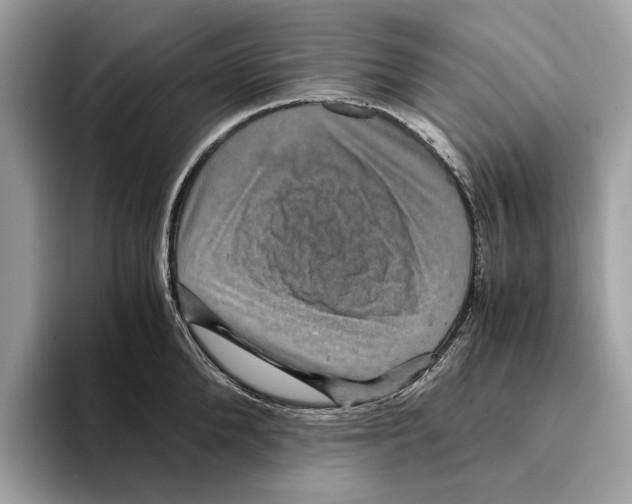 X0000095540904200801111431