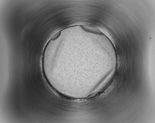 X0000095540906200801111431