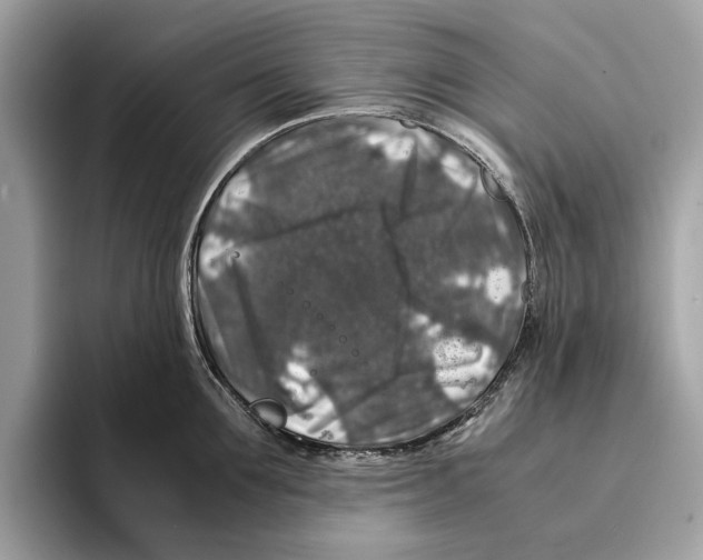 X0000095540907200801111431