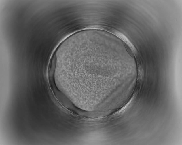 X0000095540908200801111431