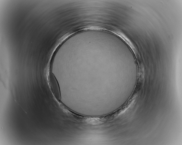 X0000095540909200801111431