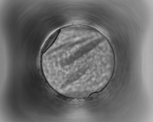 X0000095540912200801111430