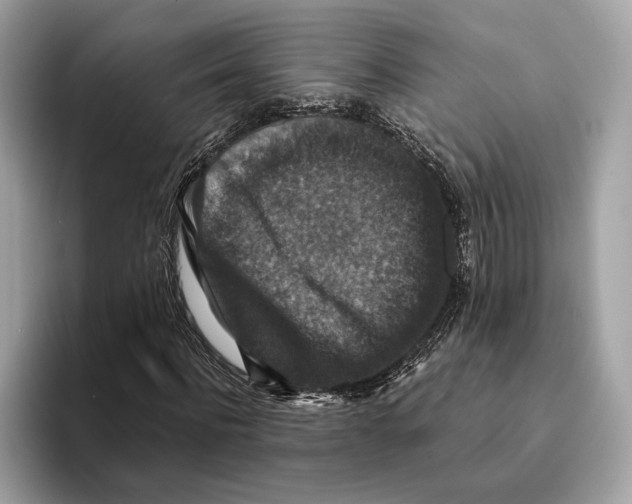 X0000095540916200801111430