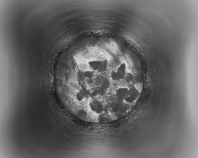 X0000095540917200801111430