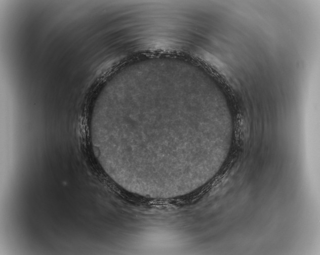 X0000095540918200801111430