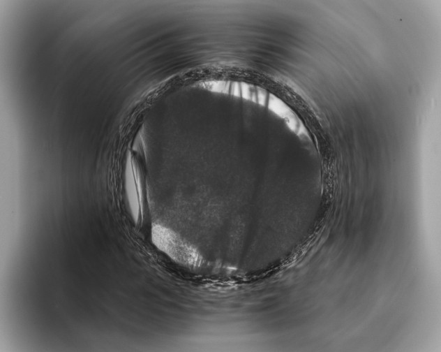 X0000095540919200801111430