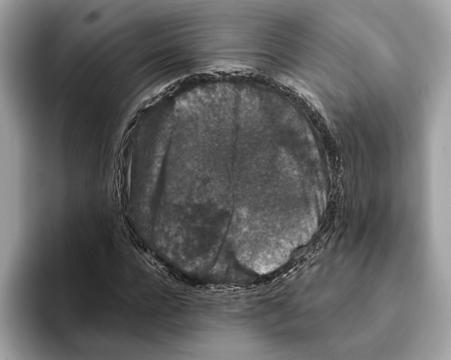 X0000095540920200801111430