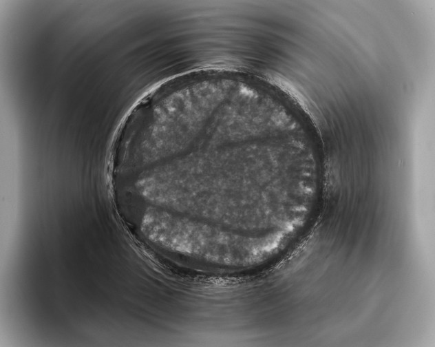 X0000095540923200801111430