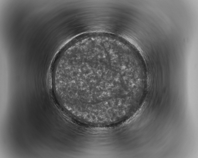 X0000095540925200801111430