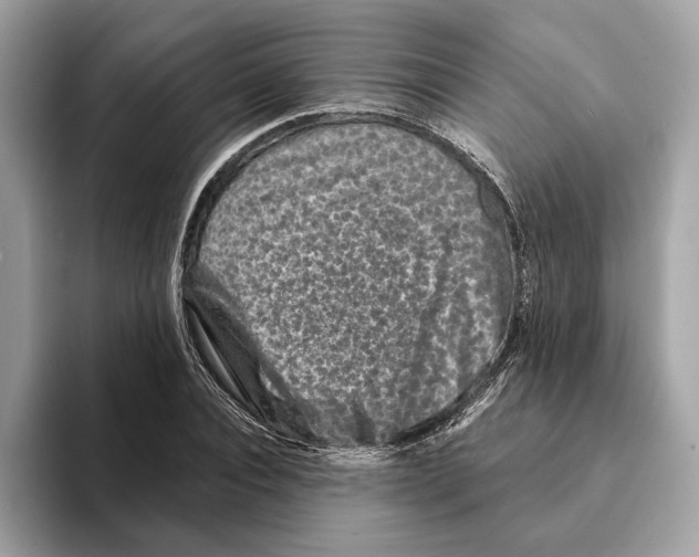 X0000095540928200801111430