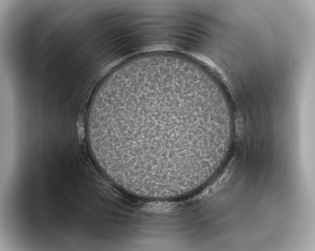 X0000095540929200801111430