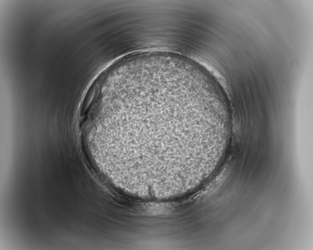 X0000095540933200801111430