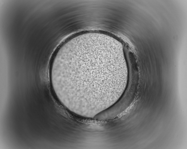 X0000095540934200801111430