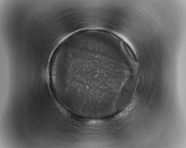 X0000095540935200801111430