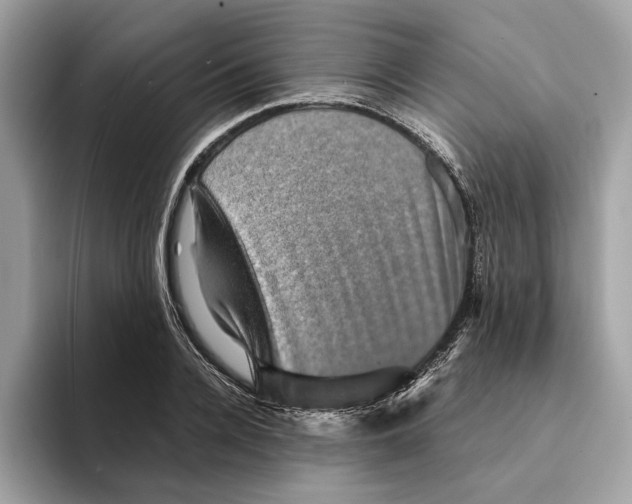 X0000095540936200801111430