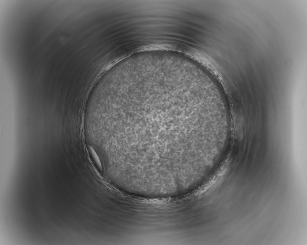 X0000095540937200801111430