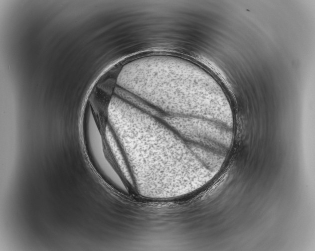 X0000095540939200801111430