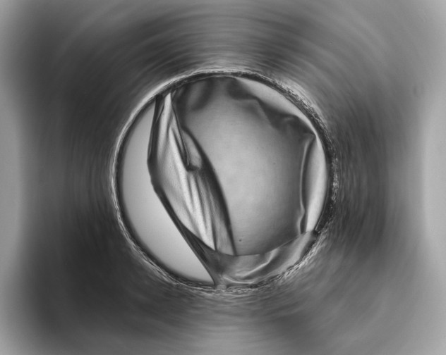 X0000095540942200801111430