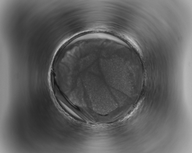 X0000095540944200801111430