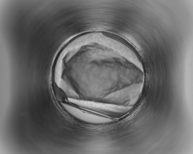 X0000095540948200801111430