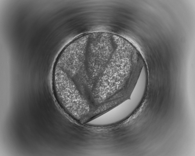 X0000095540949200801111430