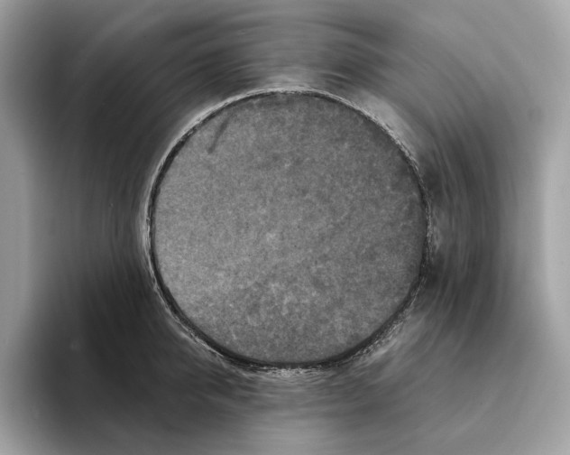 X0000095540950200801111430