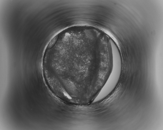 X0000095540951200801111430