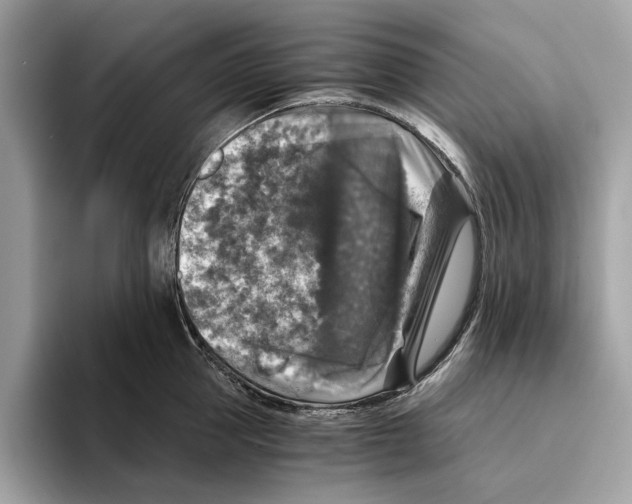 X0000095540953200801111430