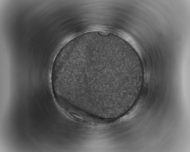 X0000095540954200801111430